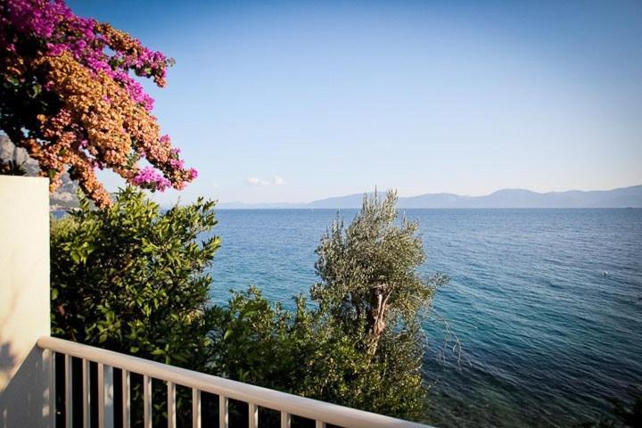 Apartments Kalaba - Dalma I Podaca Dış mekan fotoğraf